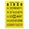 Bingo - The Low Vision Store