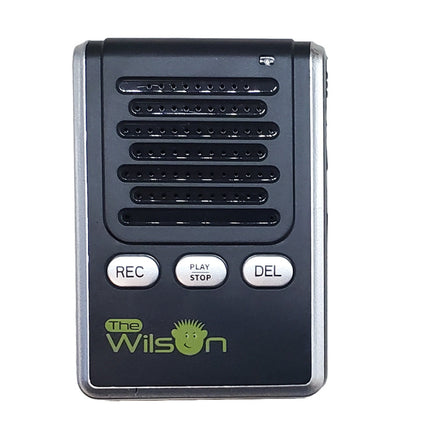 digital voice recorder version 12 with buttons for recording, playing, and deleting audio.