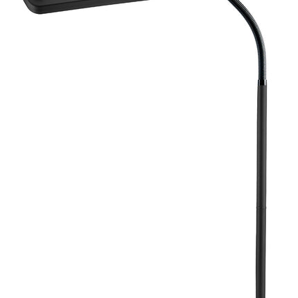 Page Magnifying Floor Lamp 8" x 10" Lens