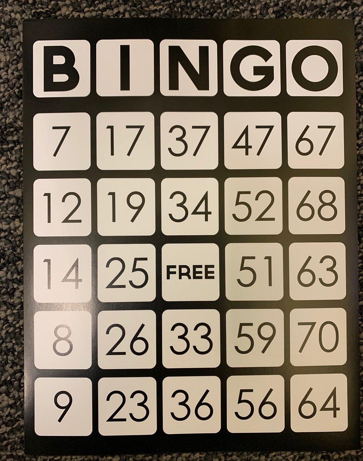 EZ Readers Large Paper Bingo Cards - The Low Vision Store