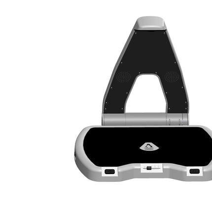 LyriQ Assistive Text - to - Speech Reader - The Low Vision Store