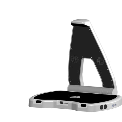 LyriQ Assistive Text - to - Speech Reader - The Low Vision Store