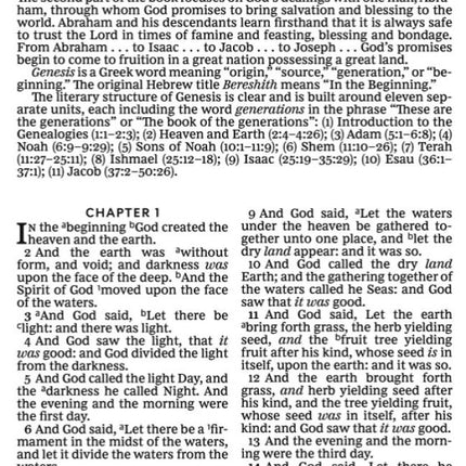 Large Print Bible - Red Letter Edition with Study