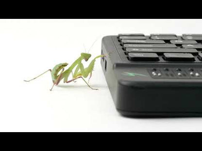Mantis Q40 Braille Display